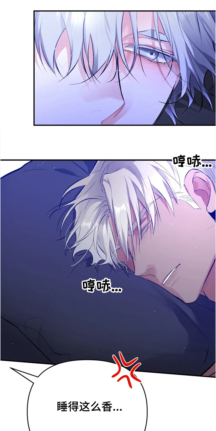 第56章：【番外】烦死了16