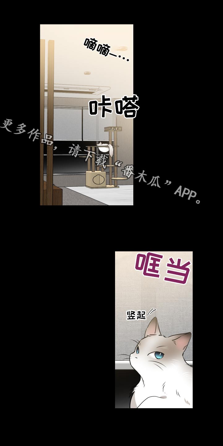 第92章：名片0