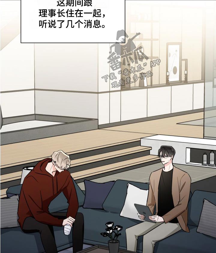 第117章：提议17