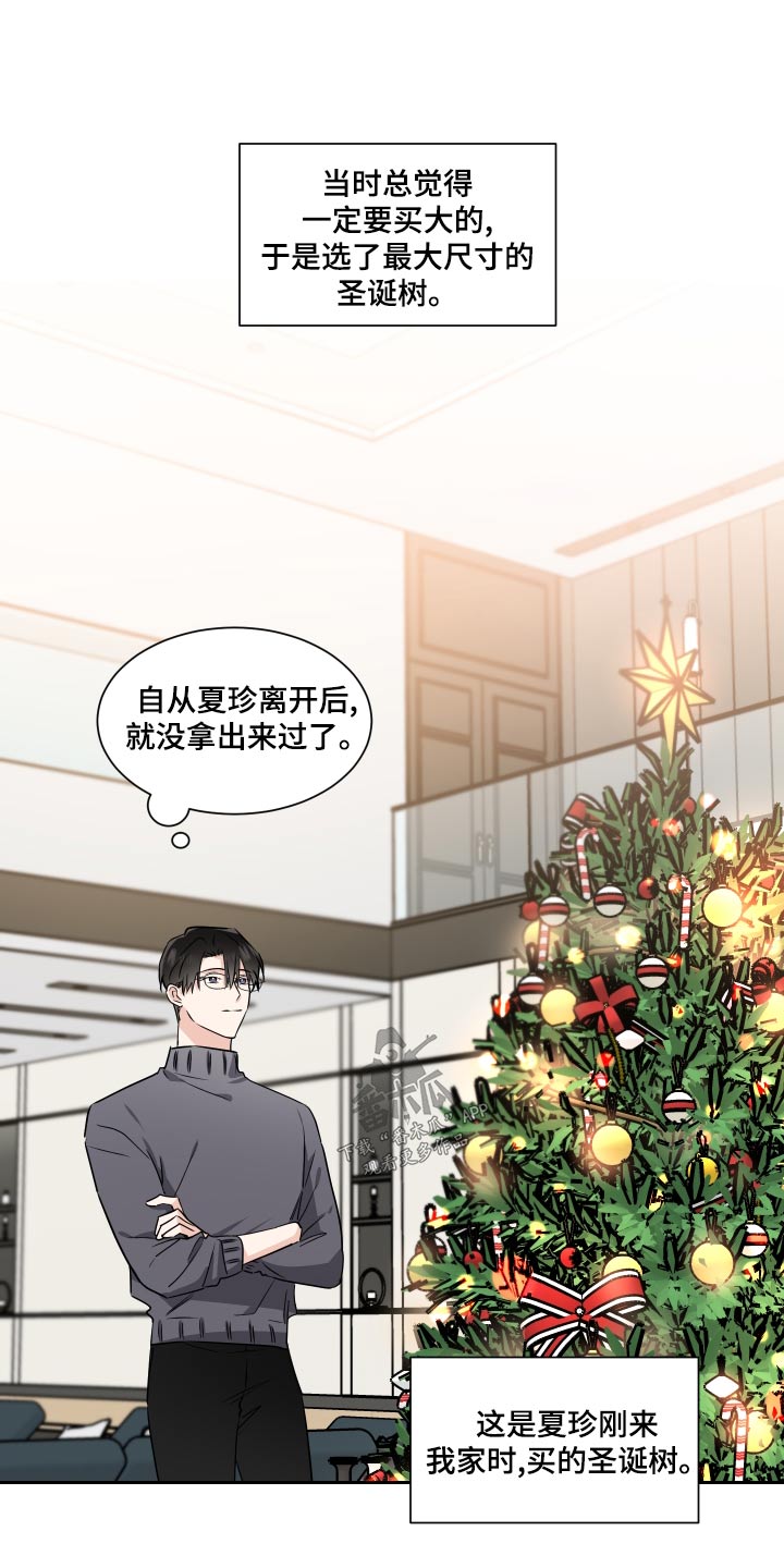 第95章：圣诞树13