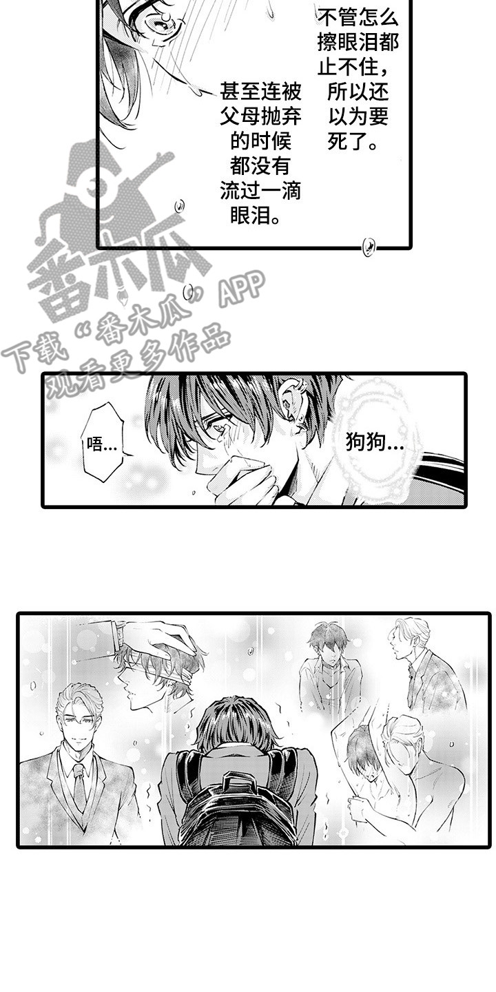 第14章：迷茫5