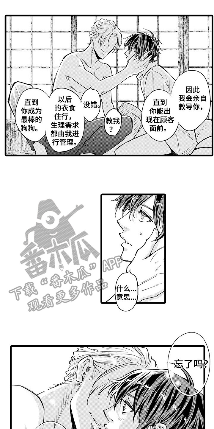 第4章：逃不掉5