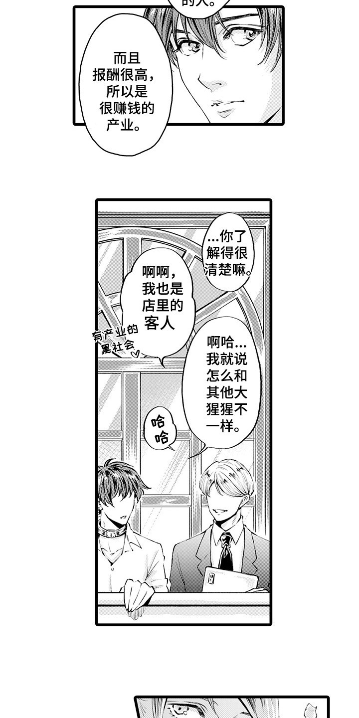 第11章：渐渐习惯12