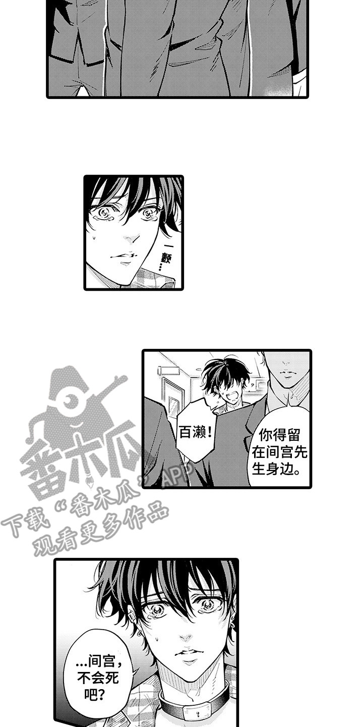 第34章：挡枪9