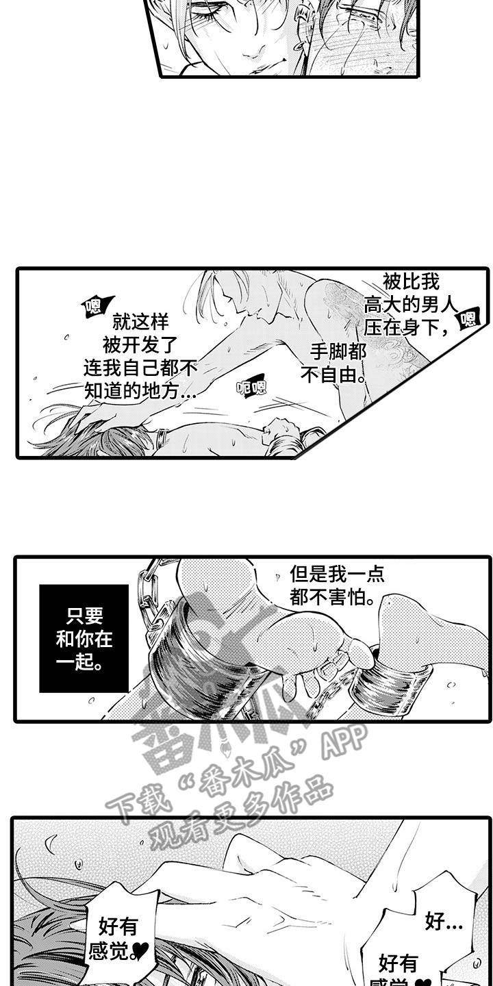 第17章： 成为专属11