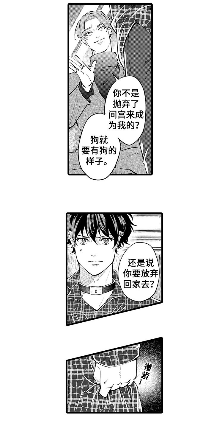 第27章：轮到我了10