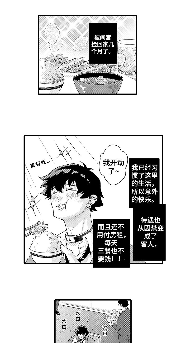 第19章： 搬家2