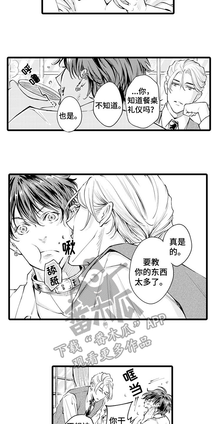第7章：狼吞虎咽10