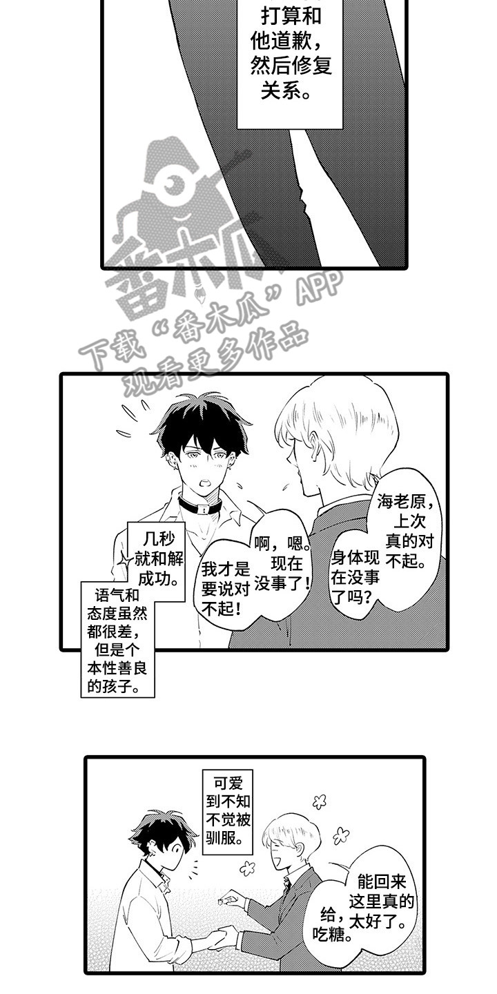 第18章：不止喜欢5