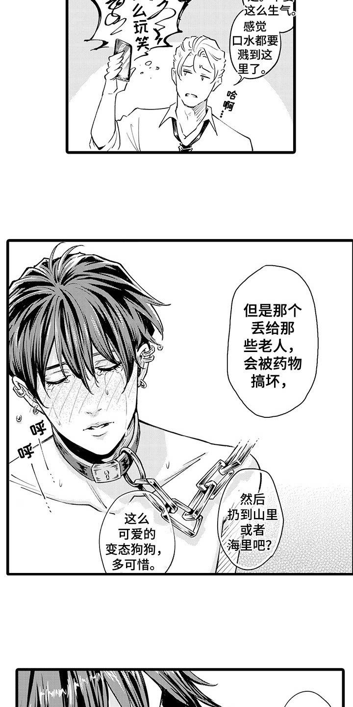 第3章：感兴趣5
