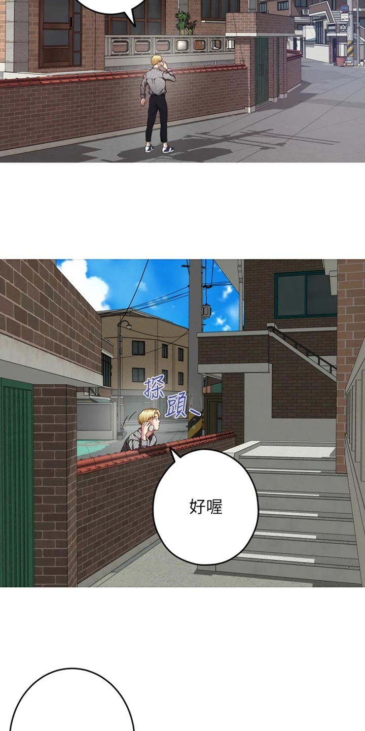 第30章：替代品16