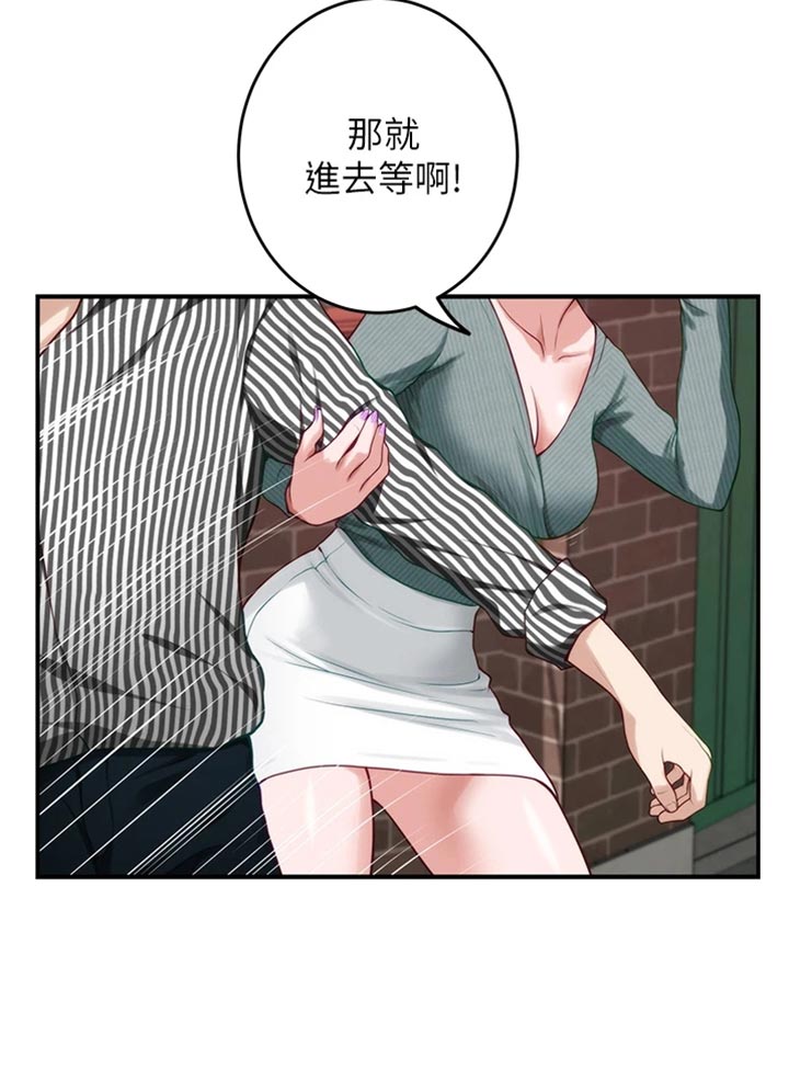 第30章：替代品21