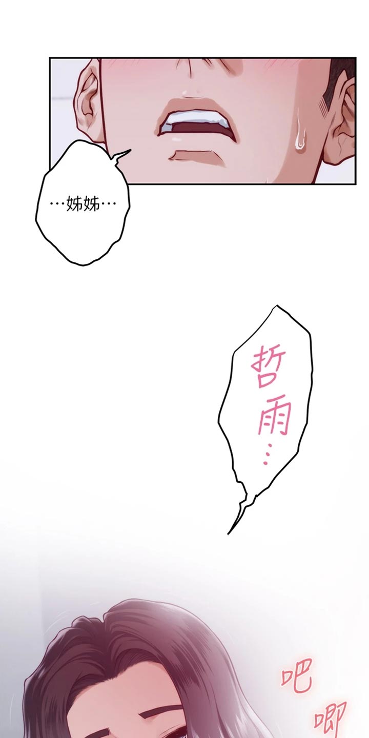 第30章：替代品0