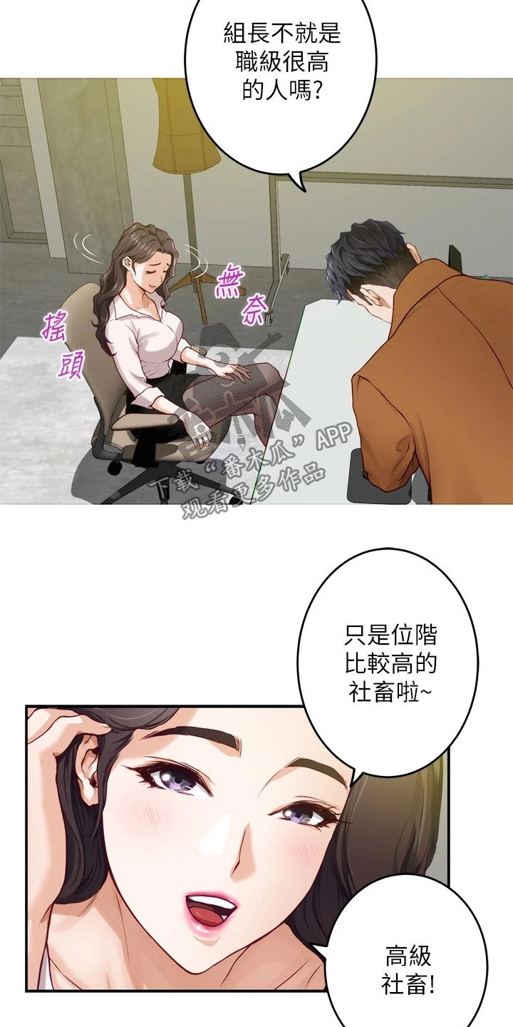 第47章：见面13