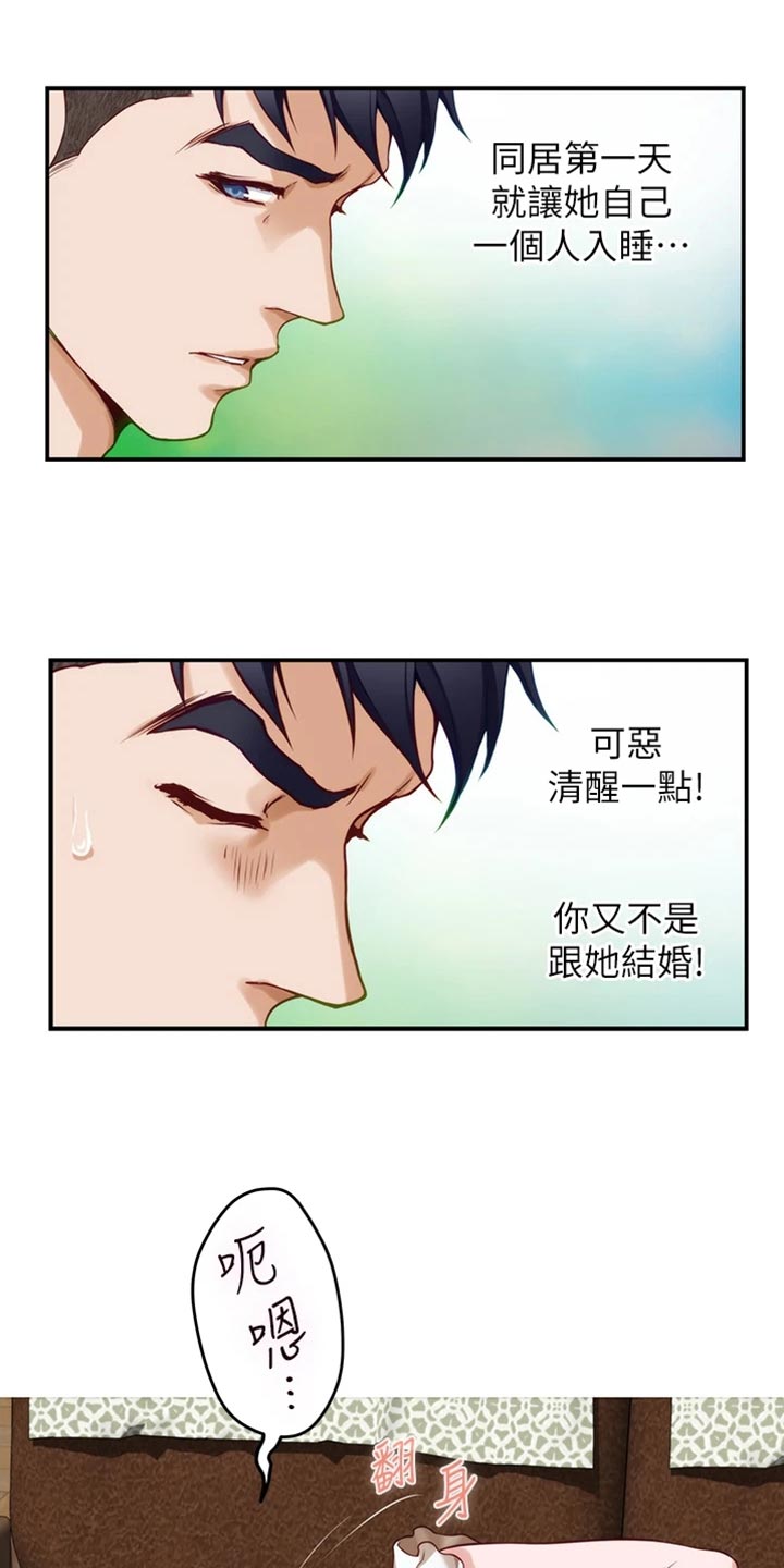 第30章：替代品11