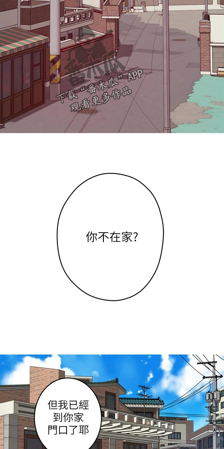 第30章：替代品15
