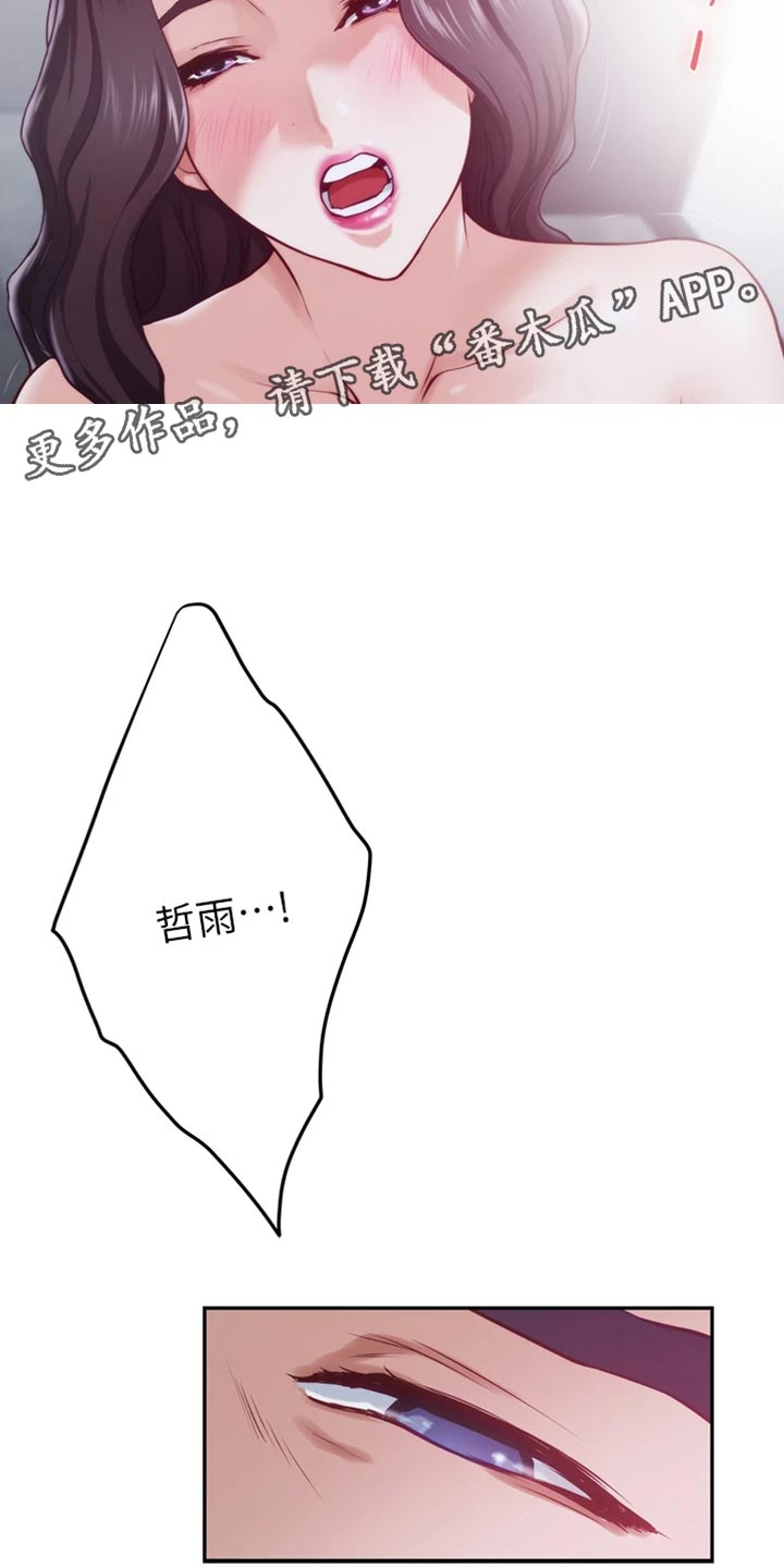 第30章：替代品1