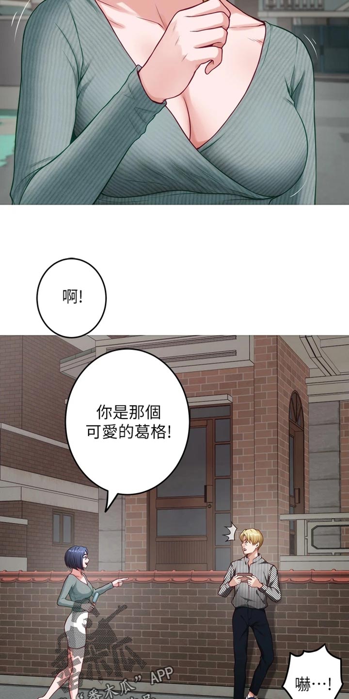 第30章：替代品19