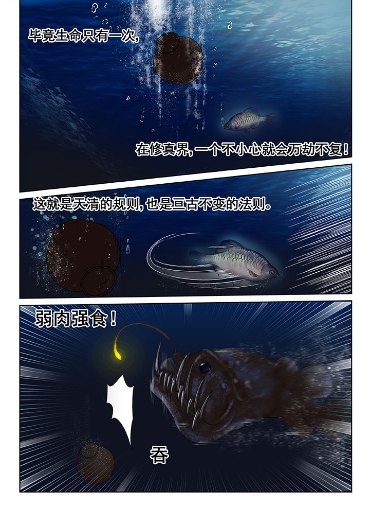 第11章：5