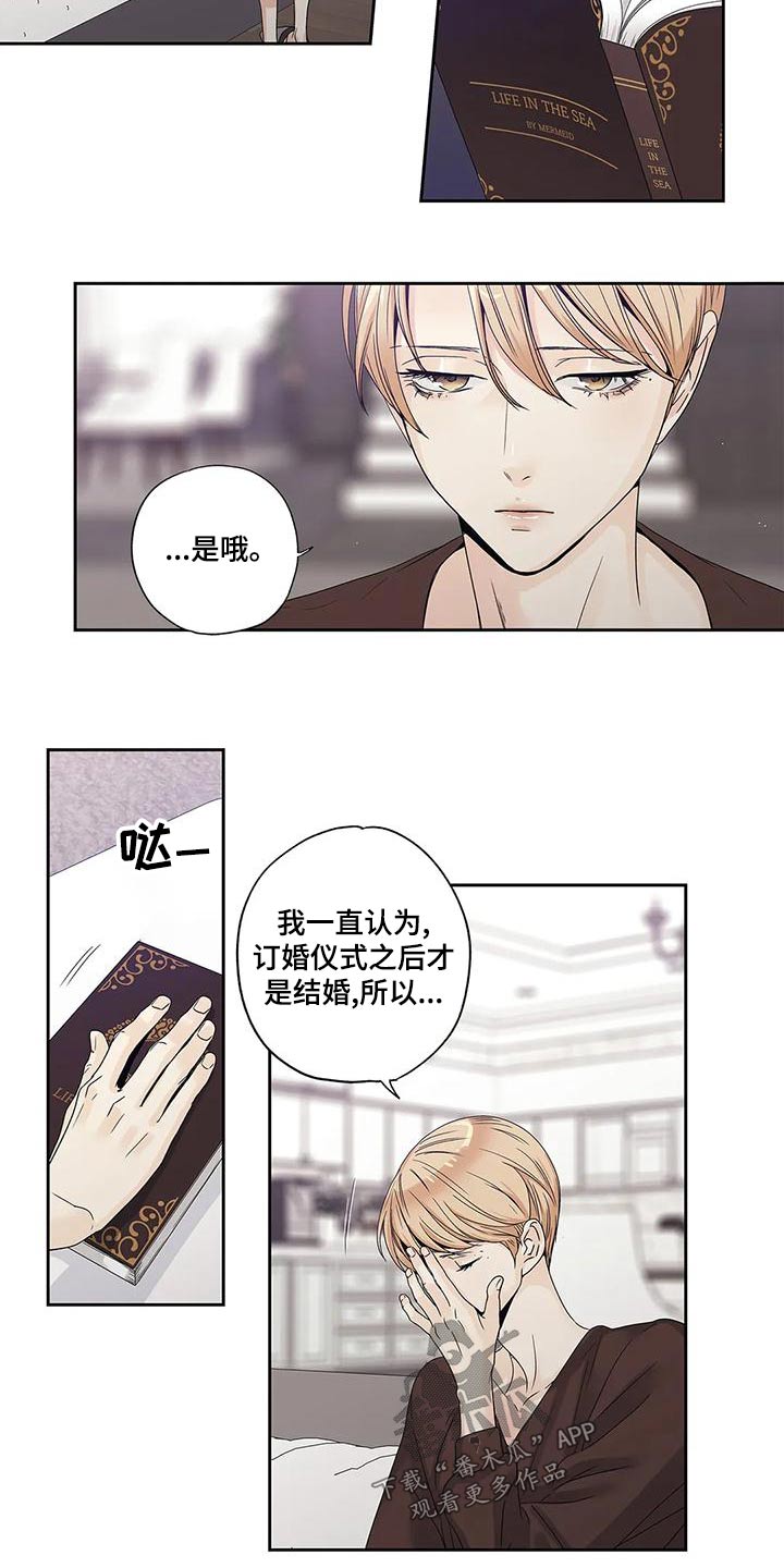 第47章：订婚仪式11