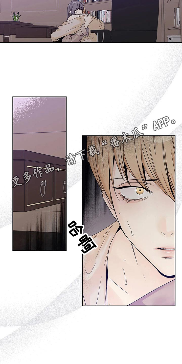 第41章：已经变了20