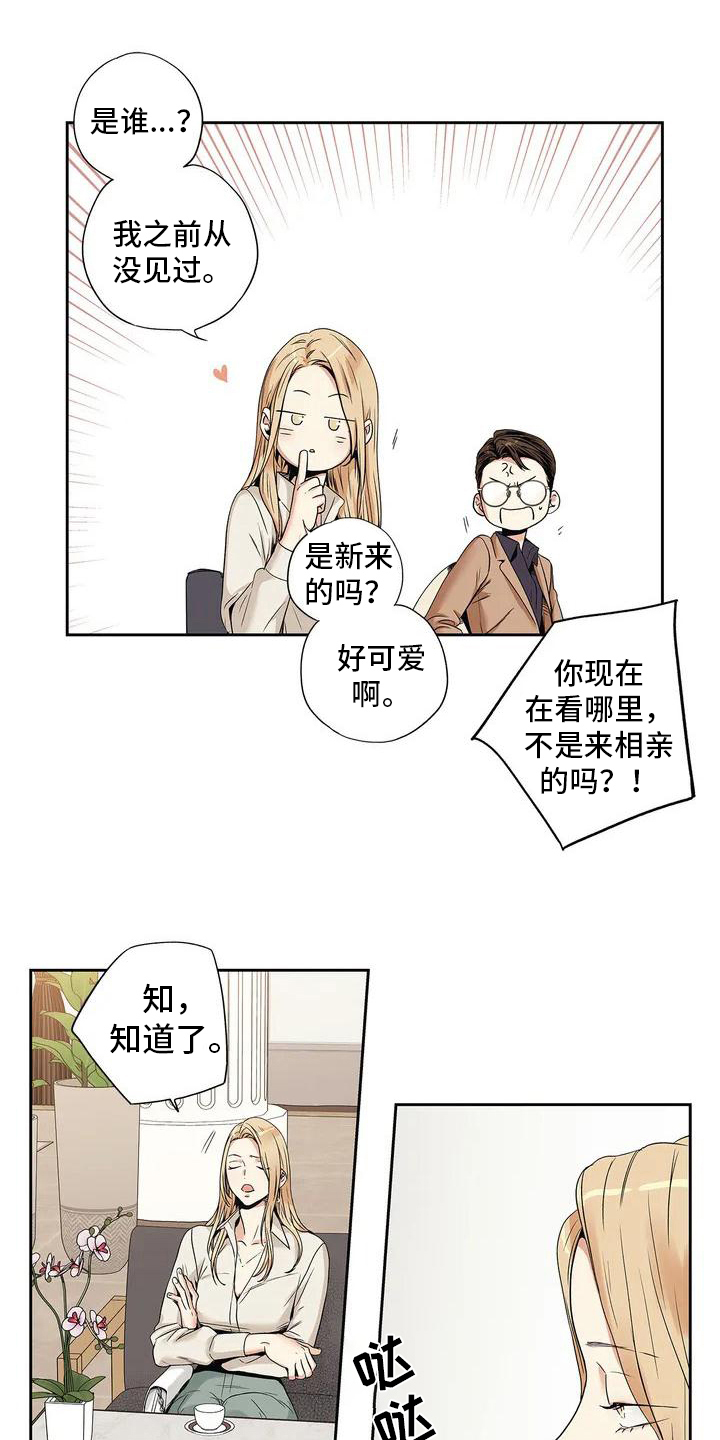 第1章：催婚13
