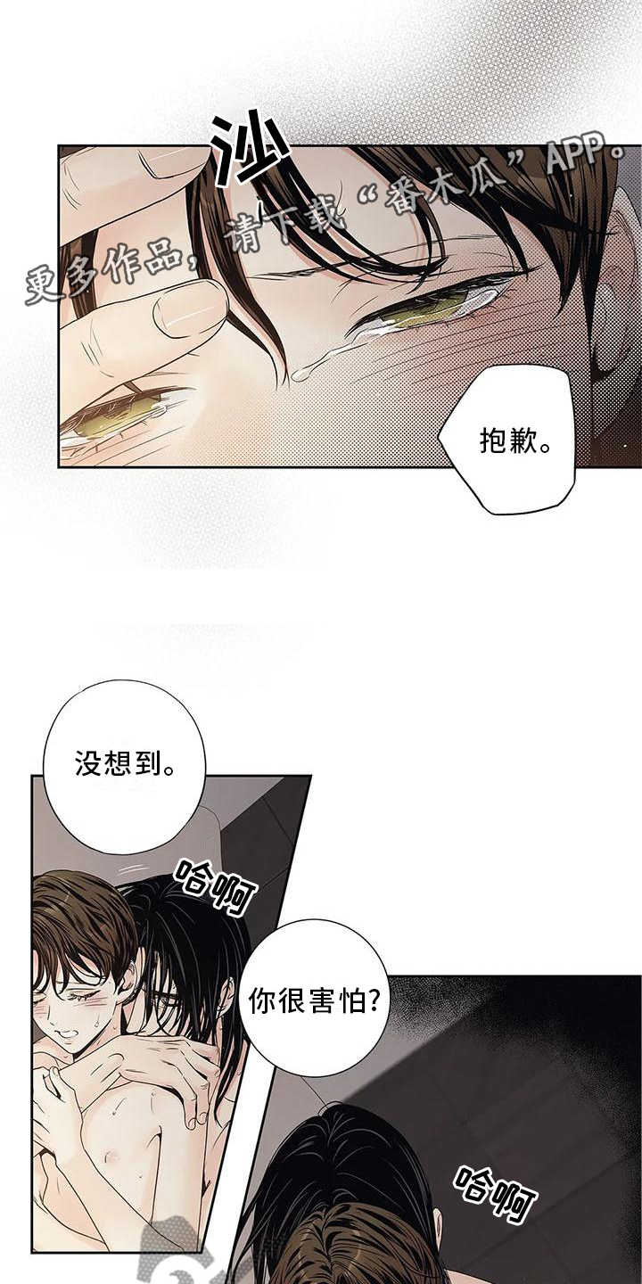 第33章：过分11