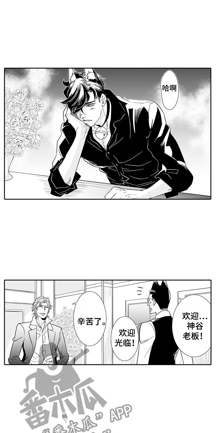 第18章：背道而驰12