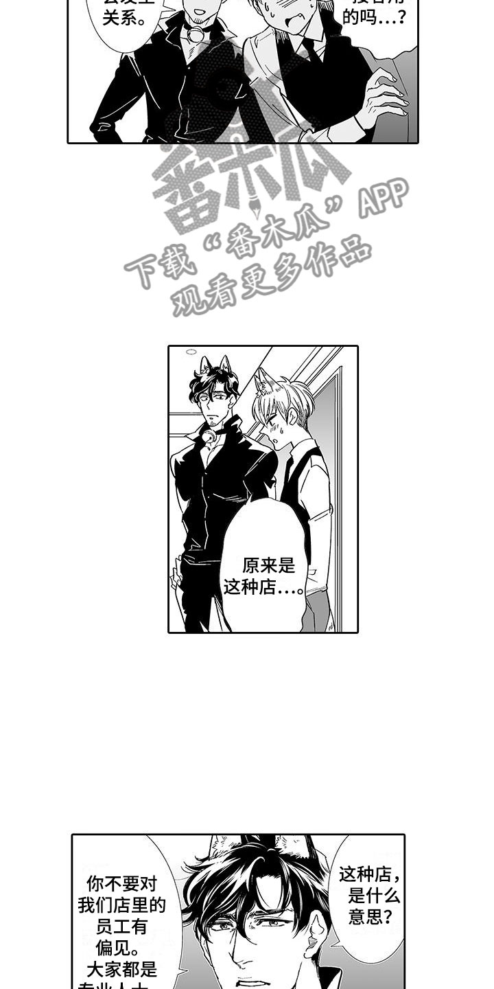 第6章：奶酪猫11