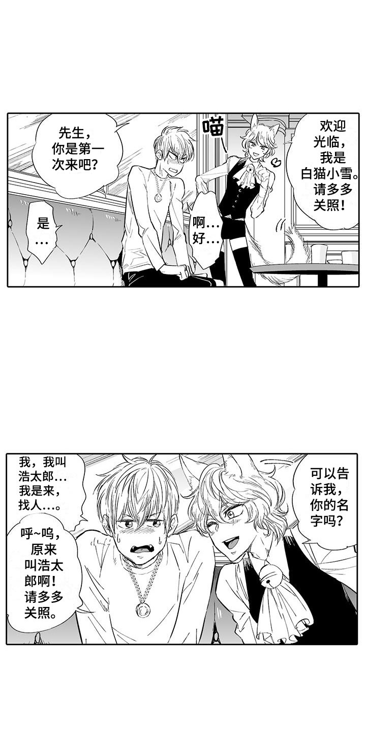 第2章：猫咪咖啡屋8