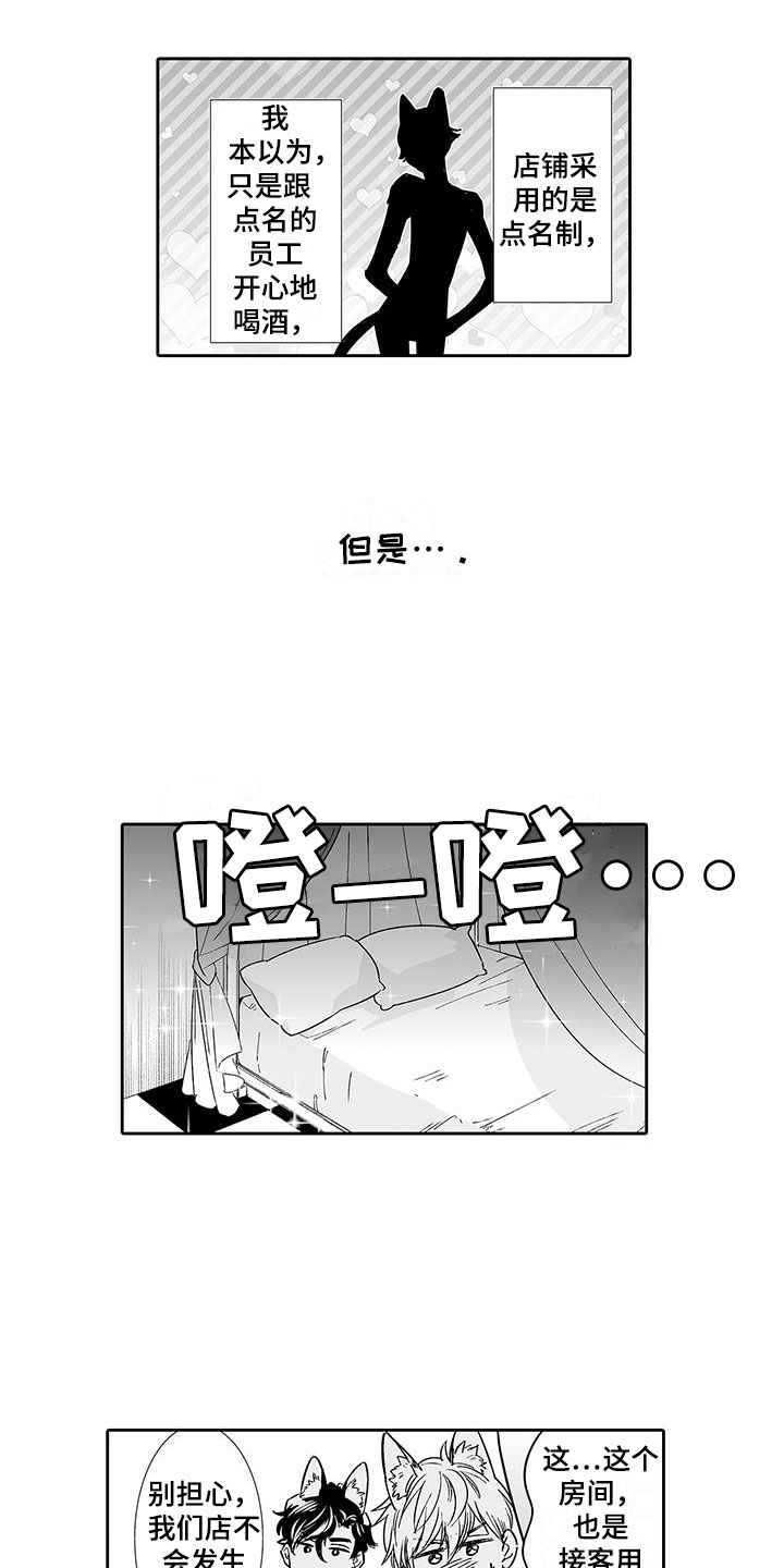 第6章：奶酪猫10