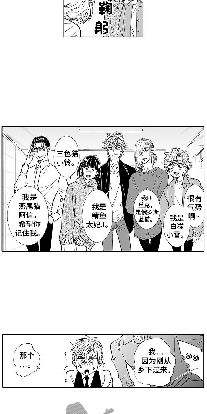第6章：奶酪猫5