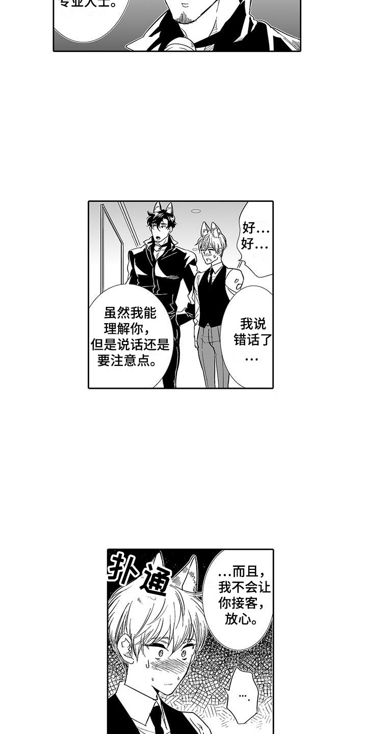 第6章：奶酪猫12