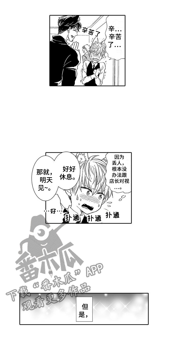 第7章：营业表演11