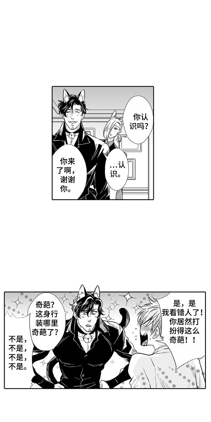 第2章：猫咪咖啡屋12