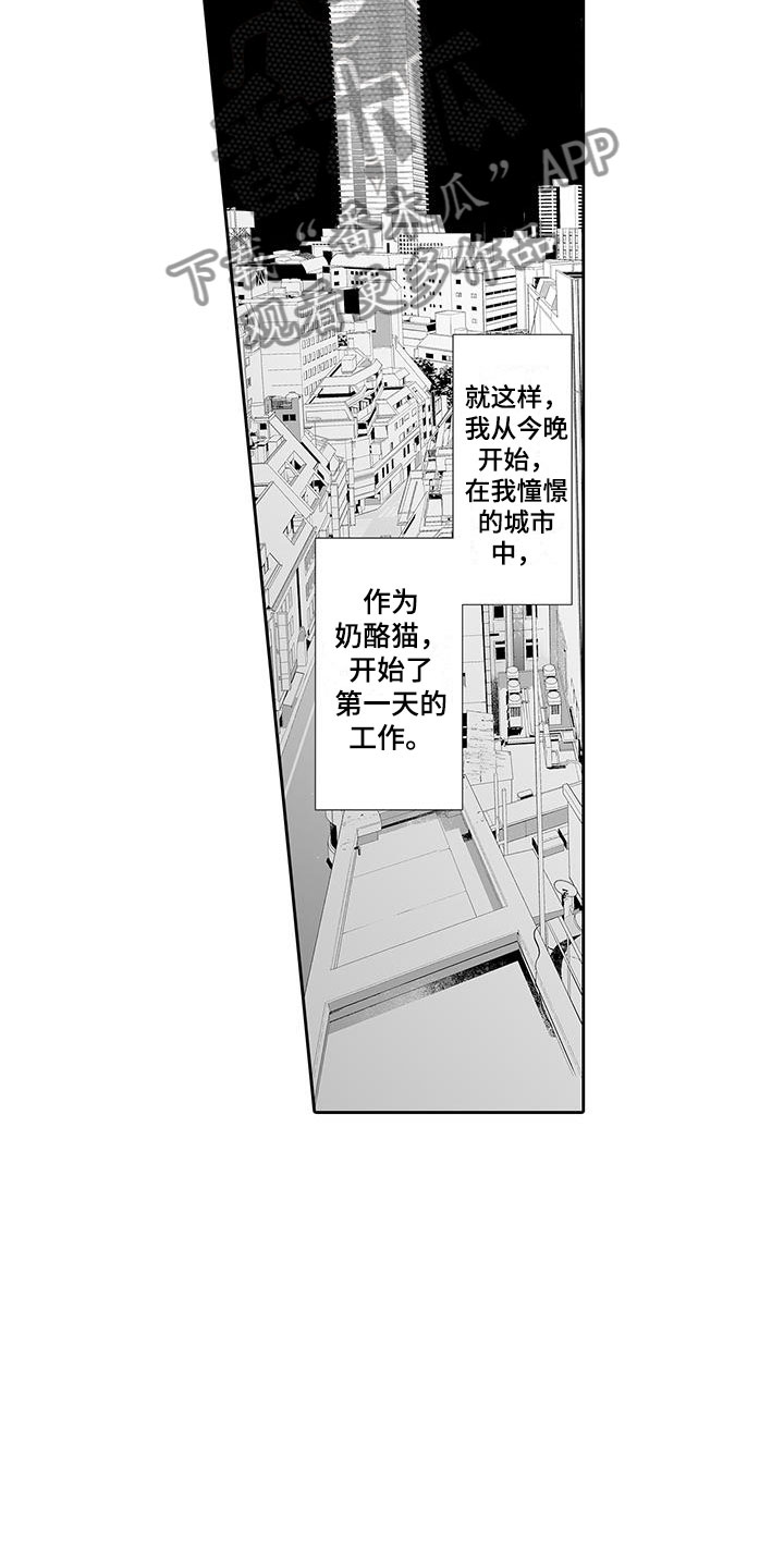 第6章：奶酪猫9