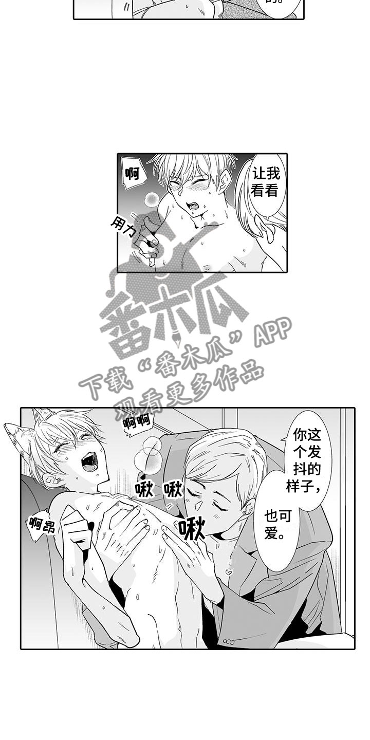 第17章：指名6