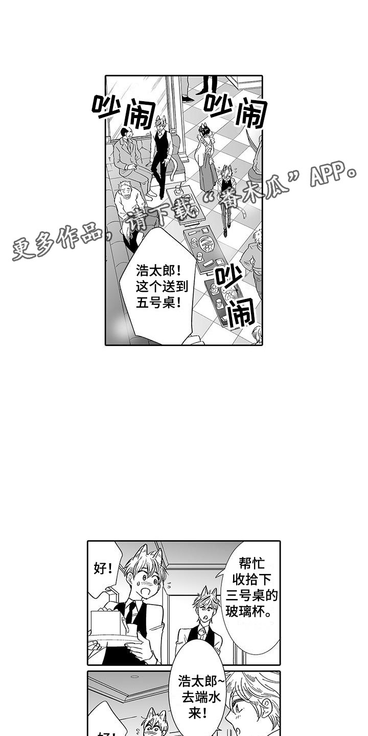 第7章：营业表演0