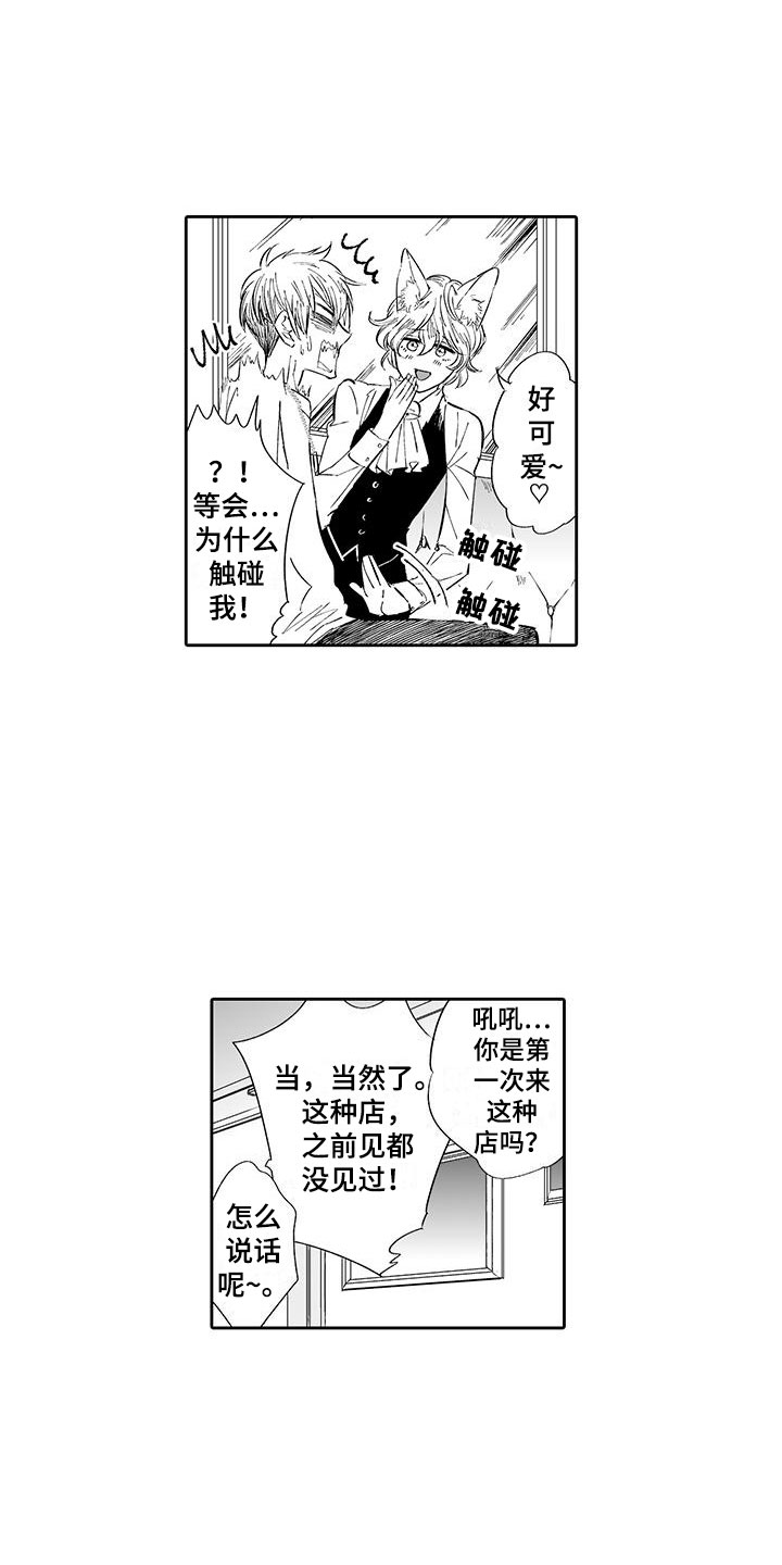 第2章：猫咪咖啡屋9