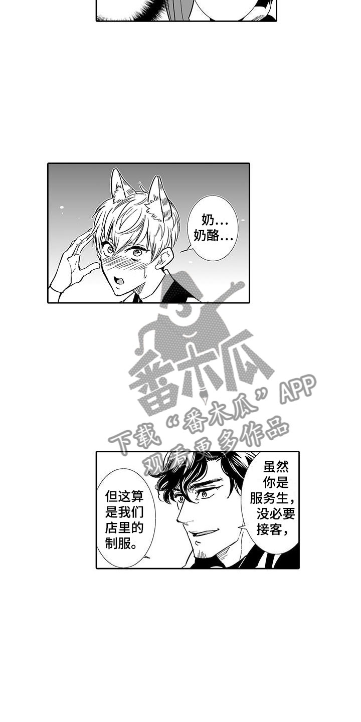 第6章：奶酪猫7