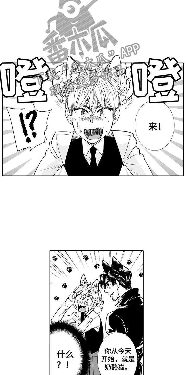 第6章：奶酪猫6