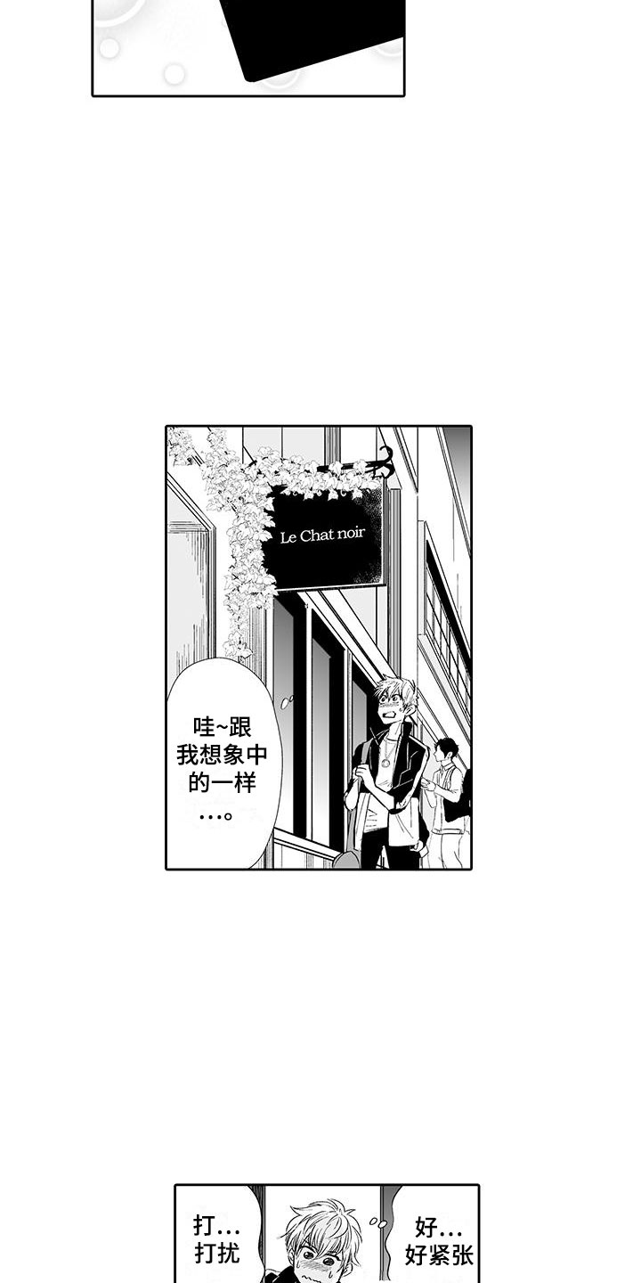 第2章：猫咪咖啡屋5