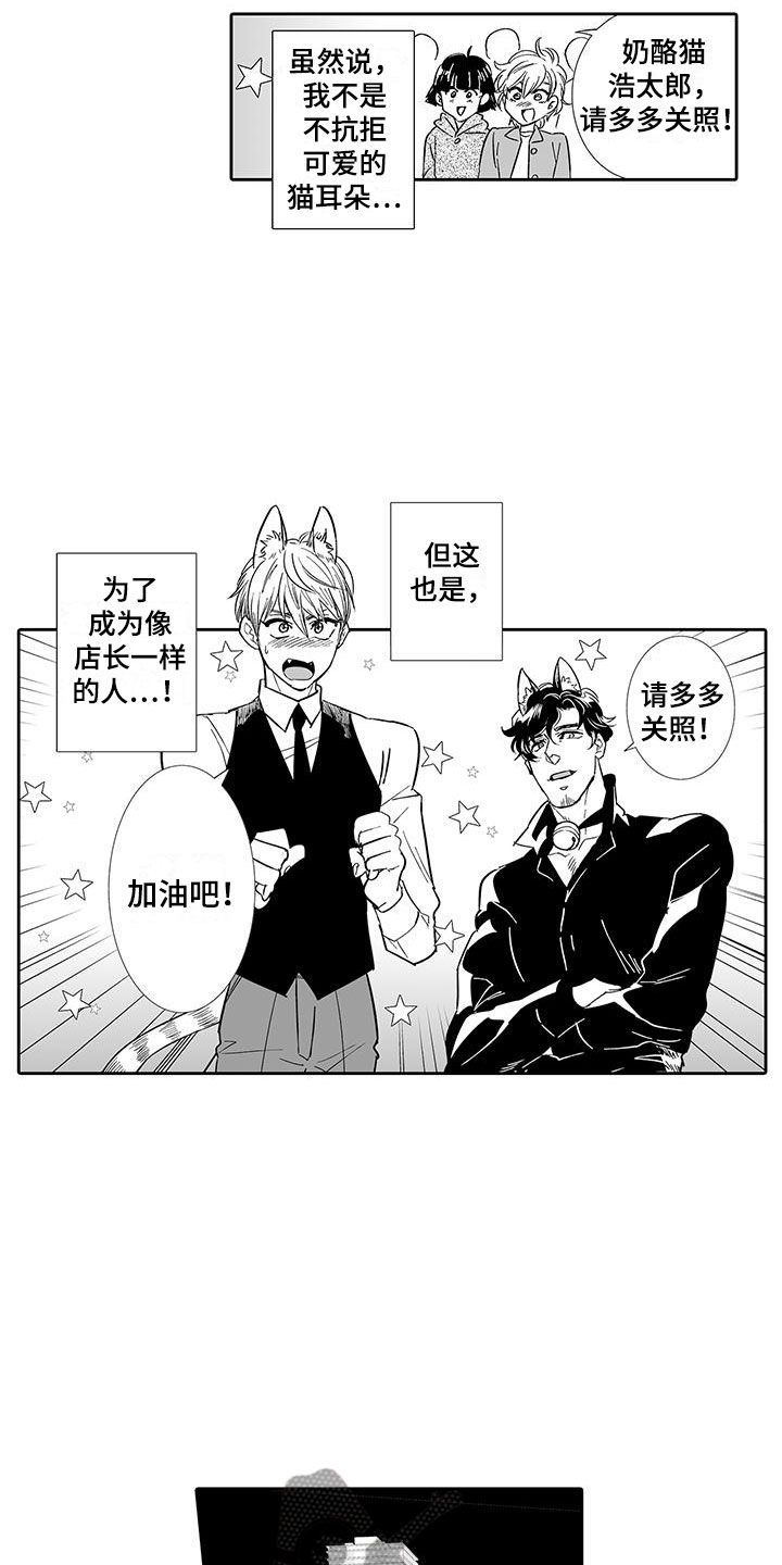 第6章：奶酪猫8