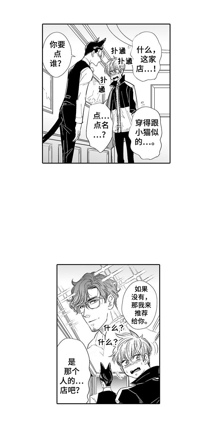 第2章：猫咪咖啡屋7