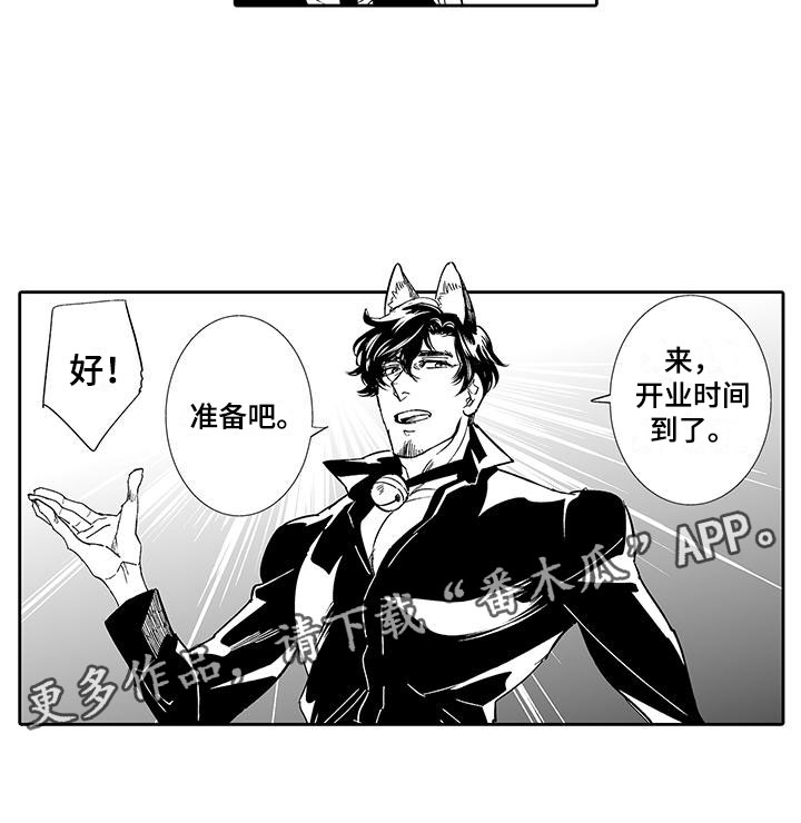 第6章：奶酪猫13