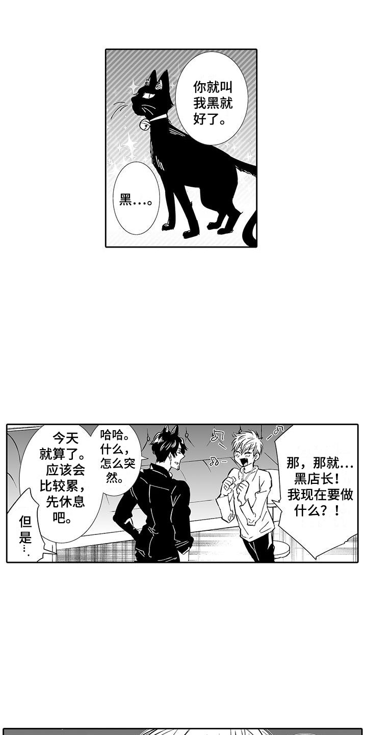 第5章：一起逛街吧0