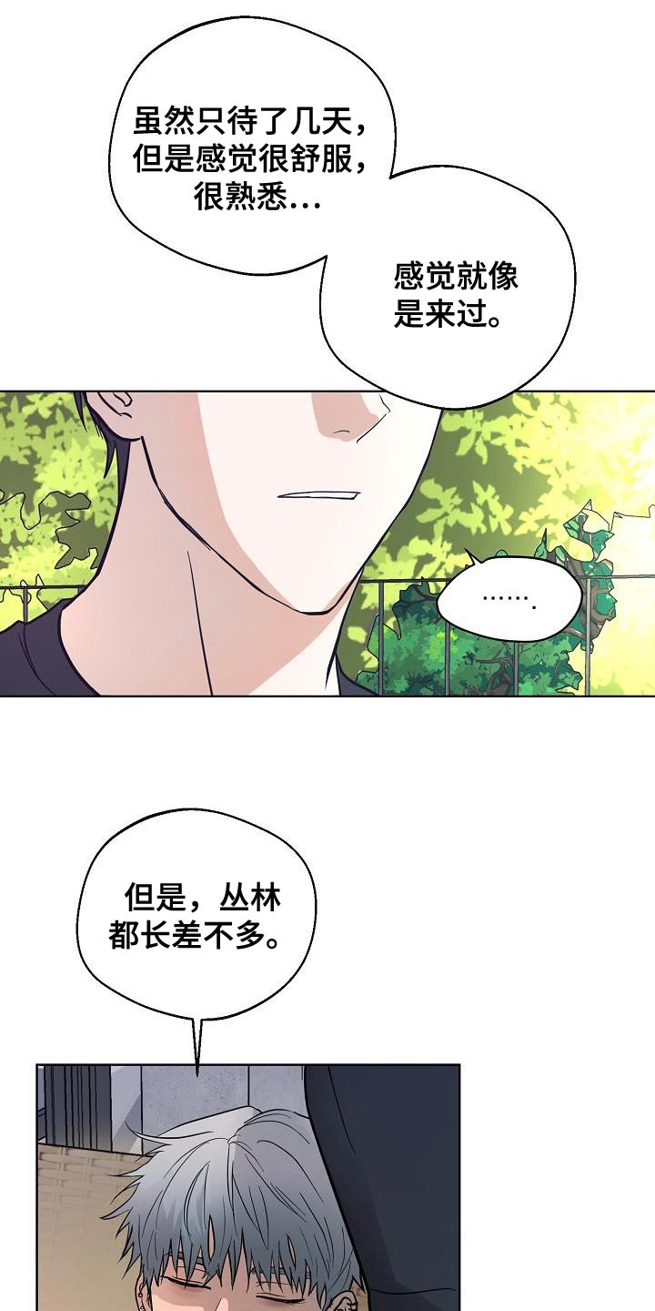 第12章：难得的和平9