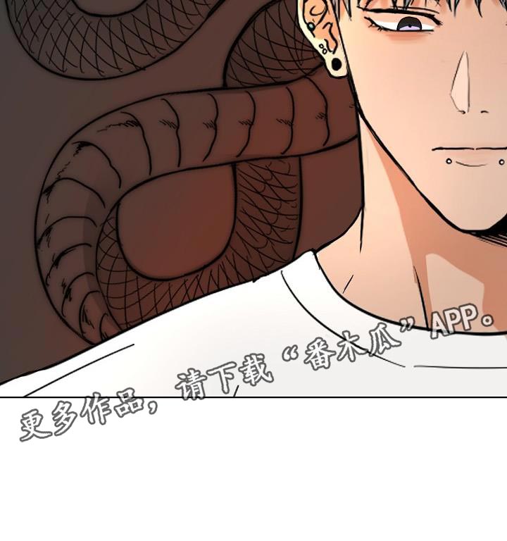 第8章：一次就见效16