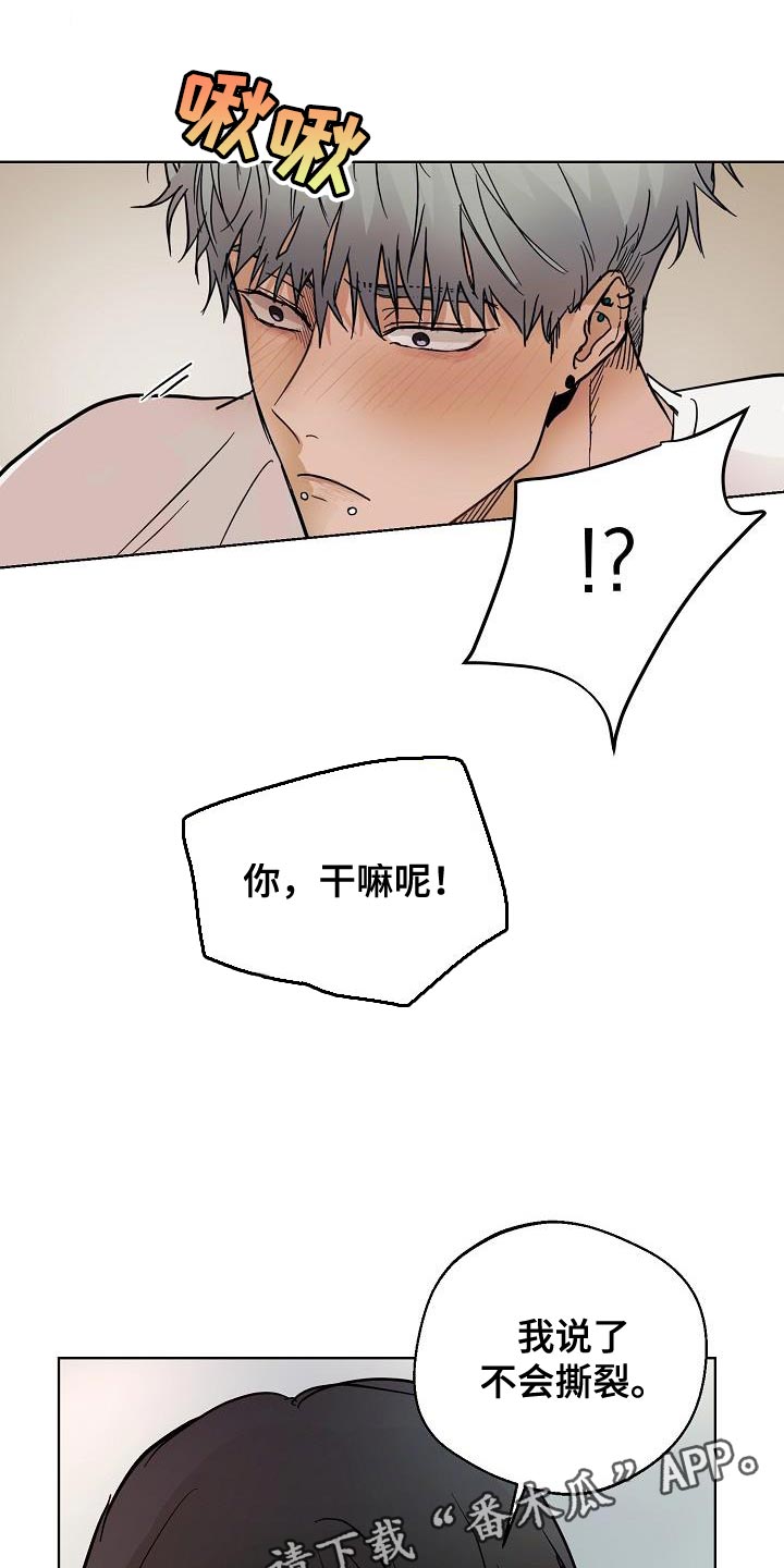第12章：难得的和平21