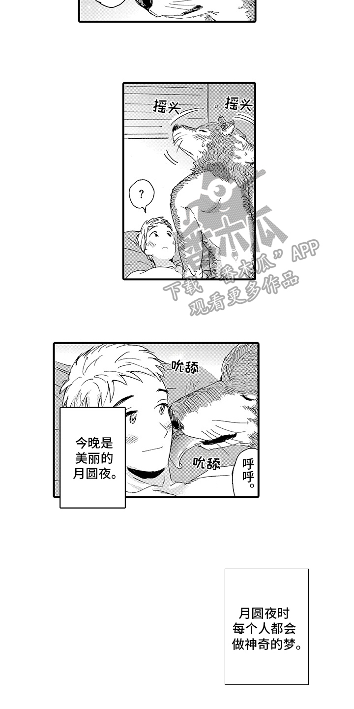 第10章：月圆美梦【完结】9
